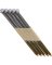 Grip-Rite 30 Degree Paper Tape Bright Clipped Head Framing Stick Nail, 3 In.