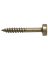 #6 FINE POCKET SCREW 100PK