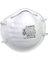 SANDG/FIBRGLS RESPIRATOR