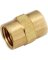 3/8 Coupling Yellow Brass