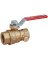 1/2 FIP WASTE BALL VALVE