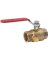 1" Brass Ball Valve w/Drain