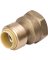 ProLine 1/2 In. x 3/4 In. FPT Brass Push Fit Adapter