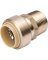 ProLine 3/4 In. x 3/4 In. MPT Brass Push Fit Adapter