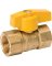 1" Gas Ball Valve