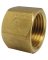 1/2FIP BRASS CAP