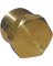 1/4MIP BRASS HEX PLUG