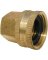 3/4FX1/2F BRASS ADAPTER