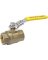 3/4" LOCKING BALL VALVE