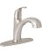 BN PULLOUT KIT FAUCET