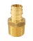 1/2PEX A X1/2MIP MA 10PK