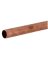 1"IDX10' M COPPER PIPE