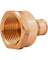 1/2PXA X3/4 FNPT ADAPTER