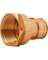 1" PEX A X 1"FIP ADAPTER