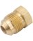 Anderson Metals 3/8 In. Brass Flare Plug