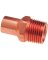 NIBCO 3/4 In. FTGxM Copper Pipe Adapter