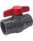 2" PVC SCH80 Ball Valve TxT