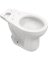 WHT BERLIN TOILET BOWL