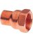 NIBCO 1/2 In. x 1/4 In. Female Copper Adapter