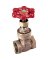 3/4 Gate Valve Brass