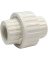 WHT 3/4" FIP PVC UNION