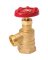1/2" GARDEN VALVE