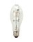 100W E17 Metal Halide Bulb-