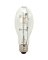 100W METAL HALIDE BULB