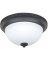 2BLB ORB CEILING FIXTURE