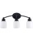 3BULB ORB WALL FIXTURE