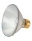 39W PAR30 SN SPOT BULB