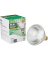 72W PAR38 FLOOD BULB