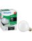 40W WHITE G25 HAL GLOBE 2-1/2