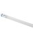 32W 48"' T8 CW LED BULB