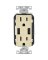 15A Outlet w/USB Charger Ivory