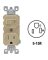 Combo Switch & Outlet Ivory