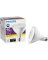 11W/90W BW LED PAR38 FLD NDIM