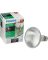 75w PAR30 LNG NECK HLGN BULB****