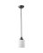 CRAWFORD 1 LT ORB PND FIXTURE