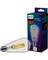 60W DSK2DWN ST19LED BULB