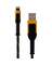 10' Lightng 2 Usb Cable