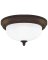 2BLB ORB CEILING FIXTURE