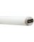 24PK 18W 24" T8 CW TUBE