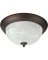 OIL BRNZ CEILING FIXTURE