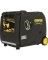 4500W DUAL FUEL INVERTER