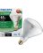 65W R40 DIM HALOGEN BULB