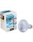 65W FLD REFL BULB