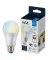 60W A19 LED SMART BULB