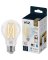 WIZ60W A19 LED FILAMENT SMART
