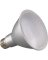 12.5WPAR30 30KLNLED BULB